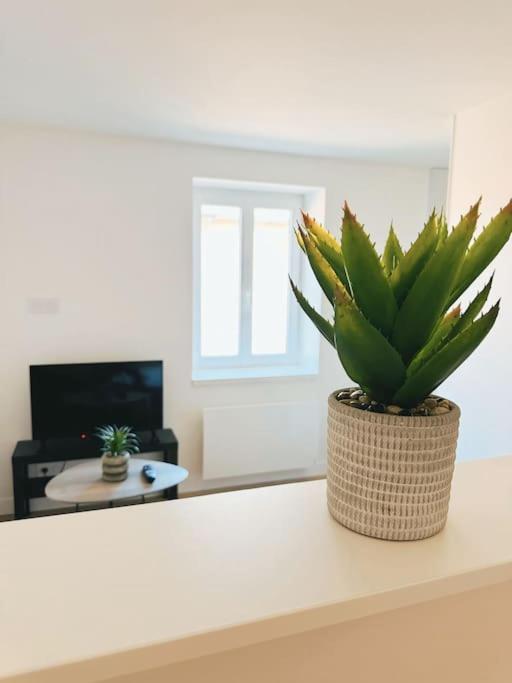 Pont-de-Veyle Le Studio - Cocon Scandinave - Parking Gratuit מראה חיצוני תמונה